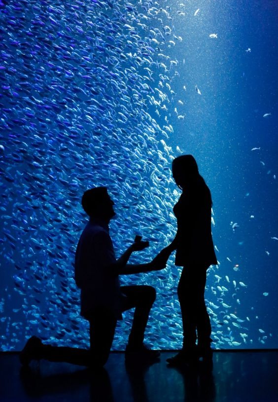 水族館求婚