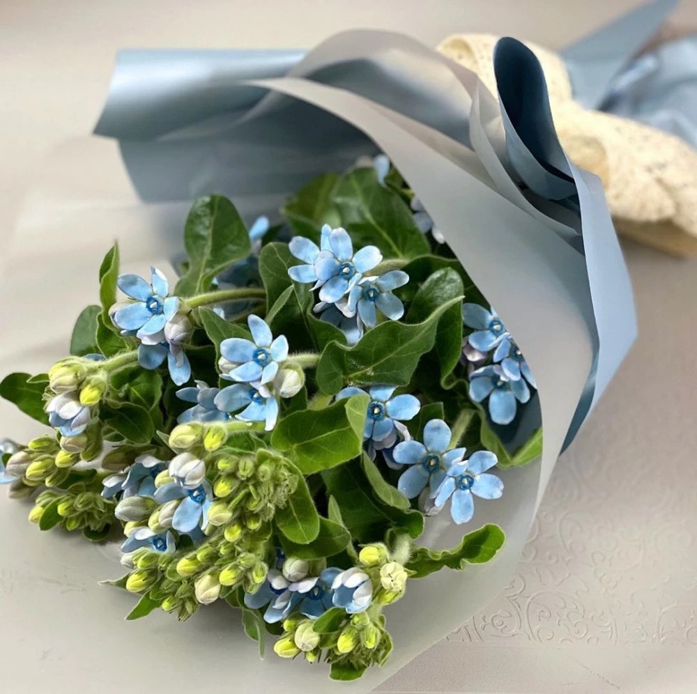 日本藍星花求婚花束