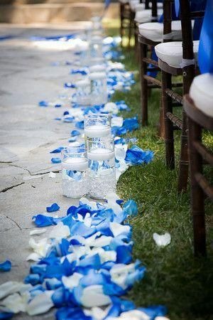 裝飾藍色花瓣的聖潔之路