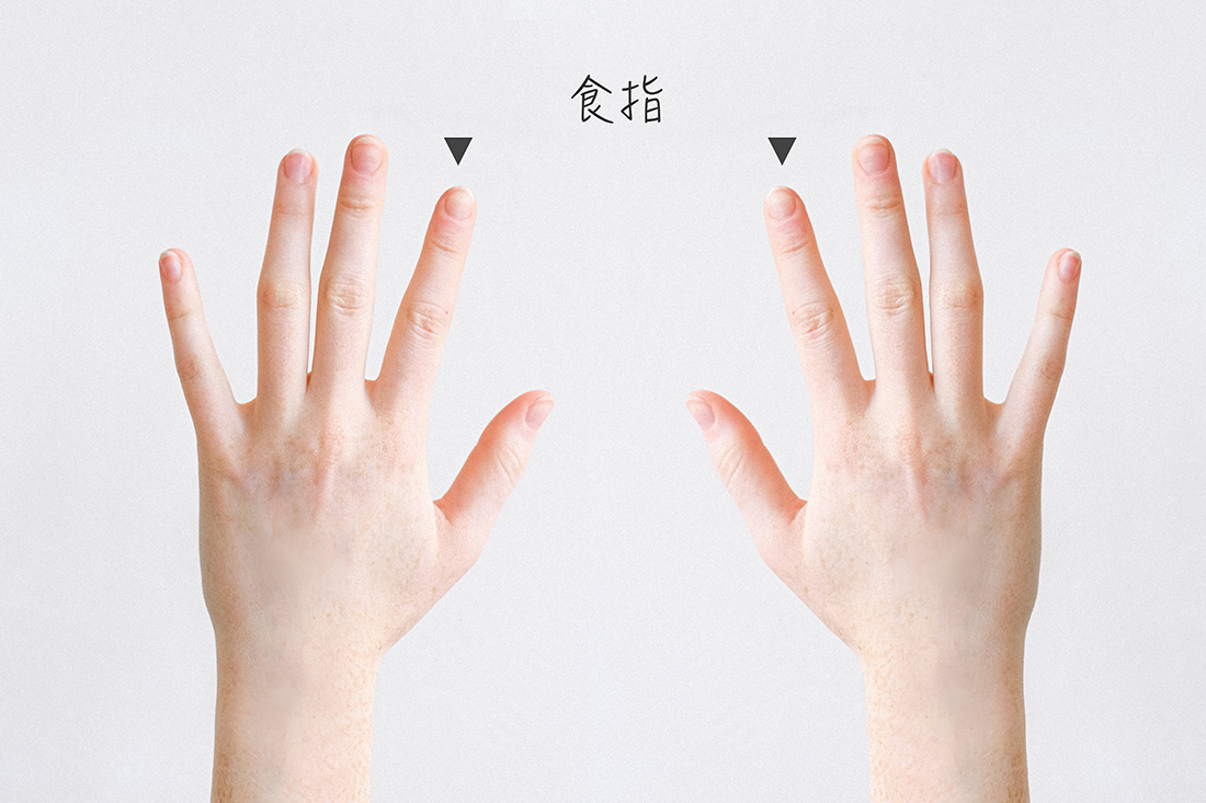 食指|代表目標與企圖