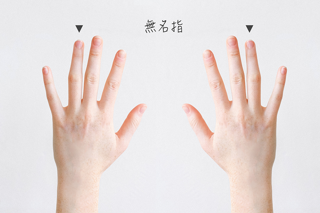 無名指|愛情與婚姻的承諾